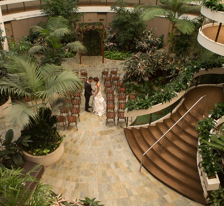 Pavilion on Northbourne-1572745